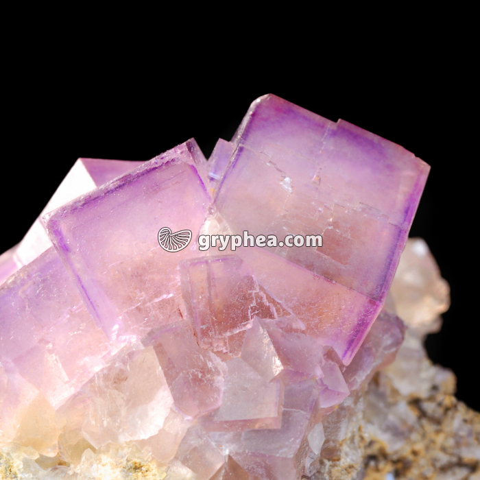 Fluorine d'Arbouet - cristaux automorphes - gryphea.com